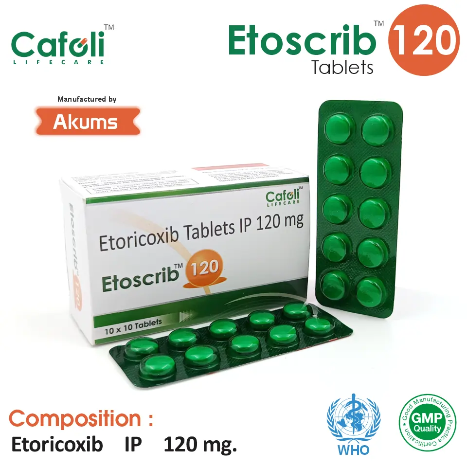 Etoricoxib at the best price in PCD Pharma Franchise for Pain Relief